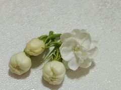 -阿蛤正宗洋老洲卤面(和平里小区店)