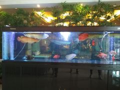 -滨湖大厦中餐厅(湖北省博物馆店)