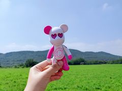 -大连铭湖国际观光牧场