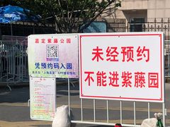 -嘉定紫藤园