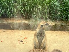 -秦皇岛野生动物园