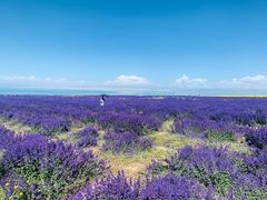 -青海湖国家重点风景名胜区
