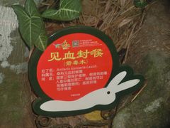 -呀诺达热带雨林