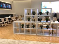 -813芭依珊 BAESAn(汇港购物中心店)