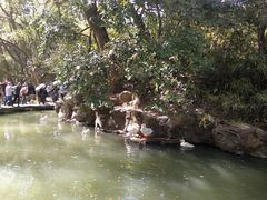 -兰亭风景区