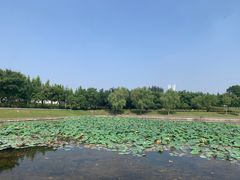 -郑东新区龙湖公共艺术中心