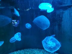 -南昌融创海世界