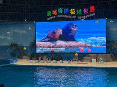 -泉城欧乐堡海洋极地世界
