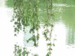 -人民公园(罗湖区)