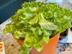 -高丽屋(天宁寺店)