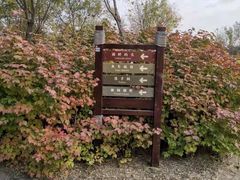-西青郊野公园
