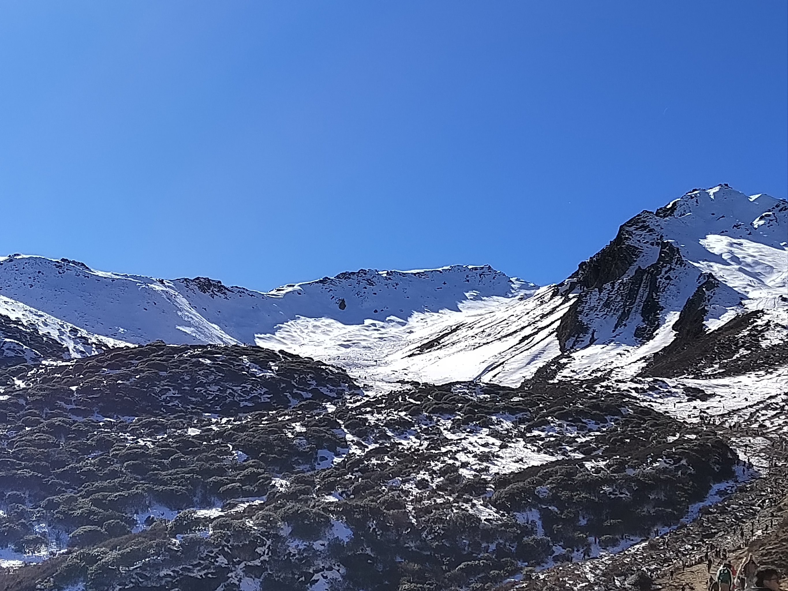 大雪山森林公园图片