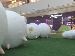 -阳光天地