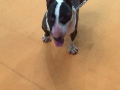 iphone_upload_pic-东浩兰生上海世博展览馆