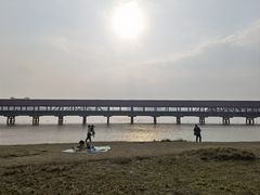 -九龙湖公园