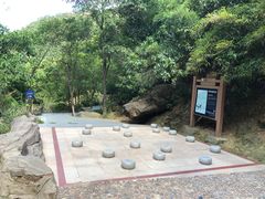 -南海湾森林生态园