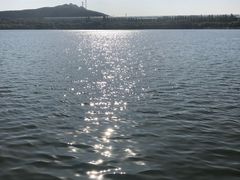 -济南国际园博园