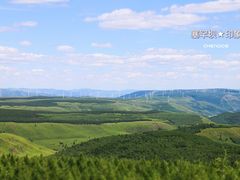 -塞罕坝国家级自然保护区