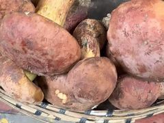 -三锅莊·牦牛肉火锅·香格里拉特色藏餐宴请餐厅(昆明创始店)