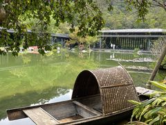 -云溪植物园