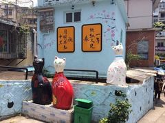 -猫咪博物馆(顶澳仔猫街店)