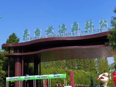 -黄海国家森林公园