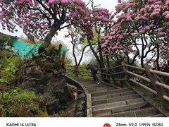 -峨眉山风景名胜区
