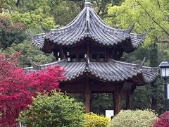-墨池公园