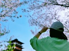 -古柏渡飞黄旅游区