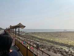 -碧海金沙