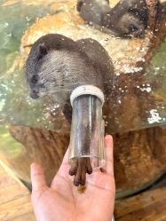 -Zoolung Zoolung动物主题公园(海信广场店)