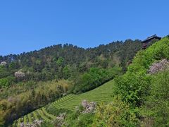 -敬亭山风景名胜区