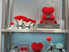 -ROSEONLY诺誓(广州K11店)