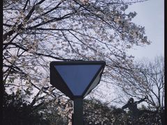 -杭州少年儿童公园