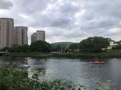 -新江湾城公园