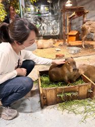 -Zoolung Zoolung动物主题公园(海信广场店)