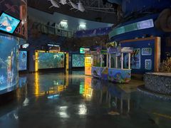 -烟台海昌鲸鲨海洋公园