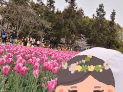 -无锡梅园公园