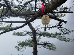 -萍乡武功山风景名胜区