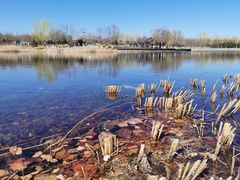 -永定河休闲森林公园