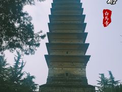 -洛阳白马寺