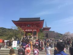 -有栖山 清光院 清水寺