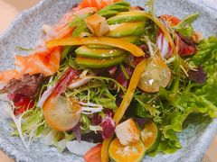 三文鱼油梨沙拉-昱匠·日本料理(金融街店)