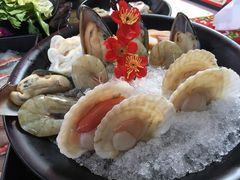 扇贝-丽江庭院之爱在路上(西单店)