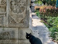 -西安大兴善寺