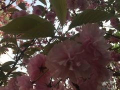 -苏州卫生职业技术学院(石湖校区)