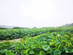 -怀来官厅水库
