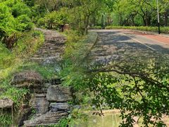 -水濂山森林公园