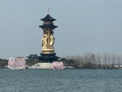 -溱湖国家湿地公园