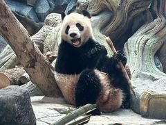 -武汉动物园
